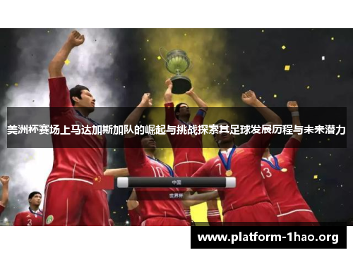 美洲杯赛场上马达加斯加队的崛起与挑战探索其足球发展历程与未来潜力