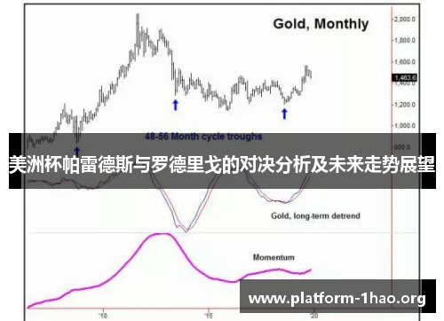 美洲杯帕雷德斯与罗德里戈的对决分析及未来走势展望