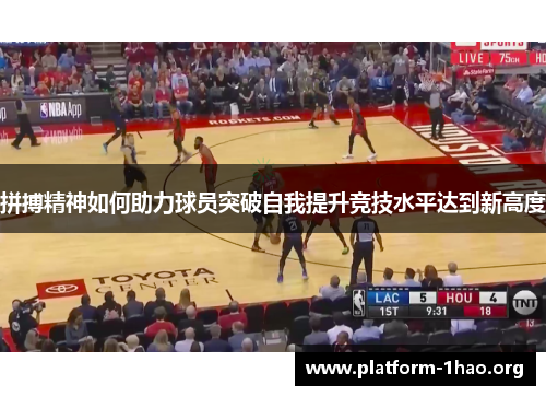 拼搏精神如何助力球员突破自我提升竞技水平达到新高度