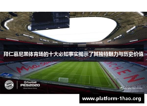 拜仁慕尼黑体育场的十大必知事实揭示了其独特魅力与历史价值 拜仁慕尼黑体育场的十大必知事实揭示了其独特魅力与历史价值
