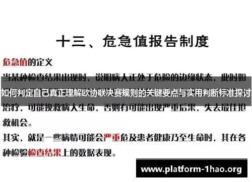 如何判定自己真正理解欧协联决赛规则的关键要点与实用判断标准探讨