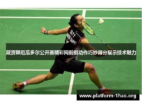 戴资颖厄瓜多尔公开赛精彩网前假动作巧妙得分展示技术魅力