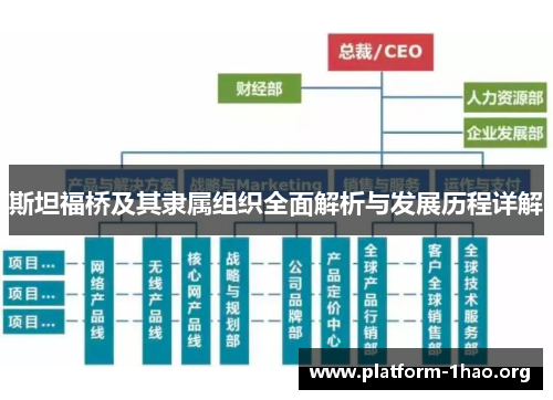 斯坦福桥及其隶属组织全面解析与发展历程详解